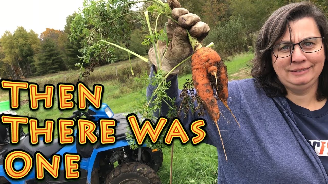 Then There Was One | A Big Family Homestead VLOG - YouTube