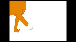 Squirrelpaw Walk cycle Test