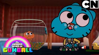 A chegada | O Incrível Mundo de Gumball | Cartoon Network 🇧🇷