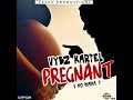 Pregnant (No Mama) Mp3 Song