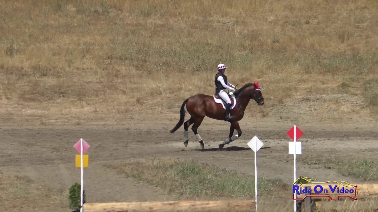 horseshoe bend 147XC Caroline Dein on Hawk Action Open Training Cross Country Woodside August 2019
