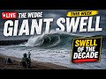 The Wedge SWELL OF THE DECADE