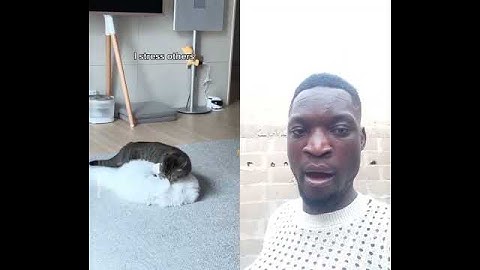 😁😁 #grappig #duet #lifeisbutadream #nollywood #whowillbemylifepartnerta #comedyfilms #nollywoodboyz