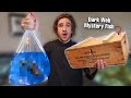 DON'T BUY LIVE FISH OFF THE DARK WEB... (what's inside?)