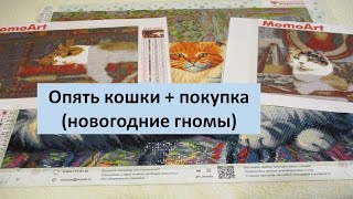 #58. Опять кошки + покупка (новогодние гномы)