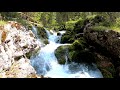 Calming Forest Waterfall White Noise (Nature). Relaxing Water Sounds. (10 Hours). White Noise.