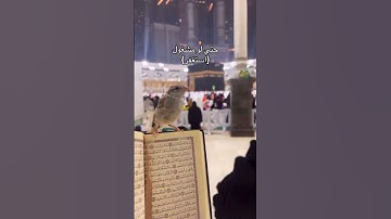 {فَقُلْتُ اسْتَغْفِرُوا رَبَّكُمْ إِنَّهُ كَانَ غَفَّارًا} #قرآن #قران_كريم #سورة_نوح