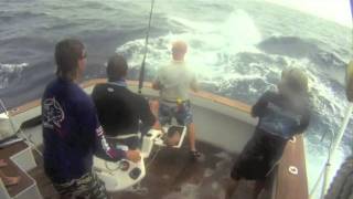 iona gamefishing cairns 2011 part 2