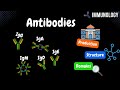 Antibodies - Production, Structure, Domains, Types (IgG, IgD, IgA, IgE, IgM)