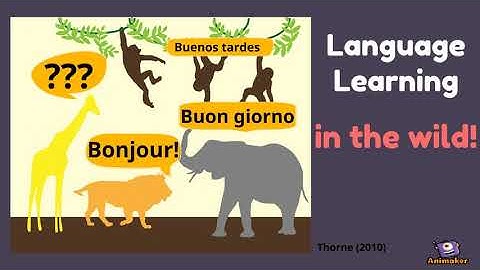 Social Media and Language Learning