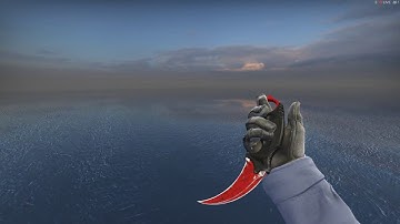 CS:GO | Karambit | Crimson Web (Field-Tested) Showcase