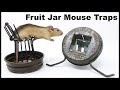 Which One Will Catch More Mice? The Fruit Jar Mouse Trap Competition. Mousetrap Monday.