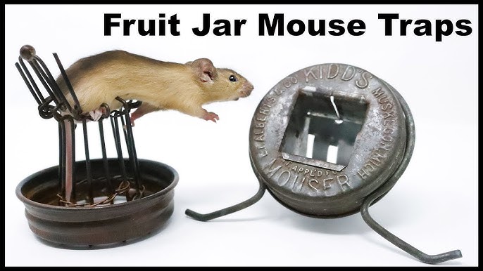 Switzerland's No-See No Touch Mouse Trap. Mouse Ghost Captured On Video?  Mousetrap Monday 