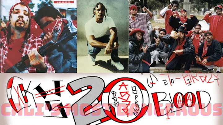 Who are the Rollin 20s Neighborhood Bloods? One of LA's most dangerous and hated gangs | NHB vs RTC