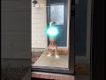 Dancing dog #housemusic #dj #dog #dancing #real #ai #doglife #dogshortsfunnyvideo #funny #funnyvideo