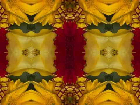 Bittern (by Bert Jansch & John Renbourn live in West Virginia 1990)