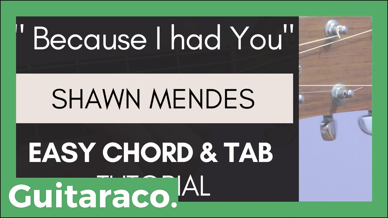 Shawn Mendes - Because I had You // EASY Guitar Tutorial (Chords & TAB)