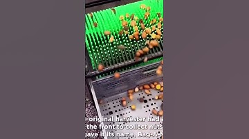 Harvesting nut box|Good tools and machinery make work easy|