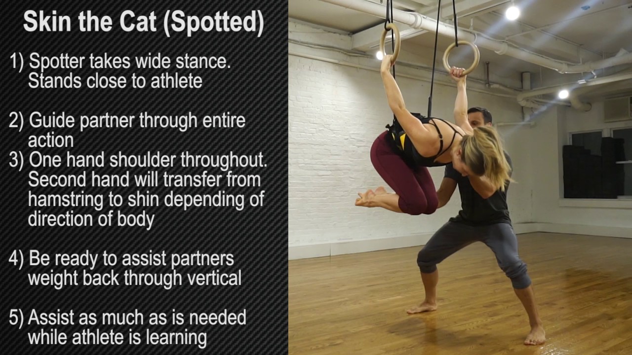 Ring Thing (Skin the Cat Spotted) YouTube