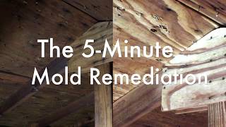 The 5Minute Mold Remediation with OxyPrep and Oxypar LR (aka The REACT/EXTRACT Remediation System)