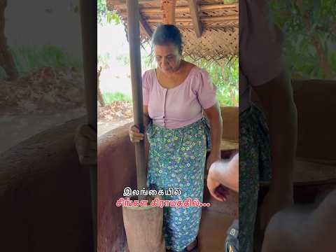 ச ங கள க ர மத த ல ஒர ந ள Shortsfeed Srilanka Srilankaviral