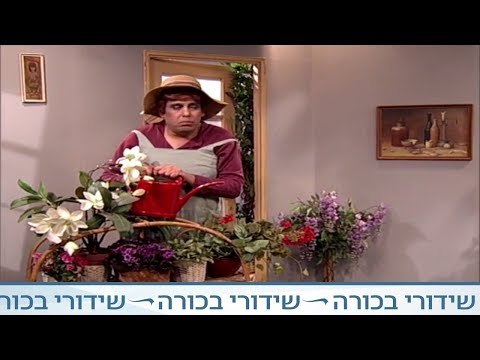 וִידֵאוֹ: מה זה הייפ בסלנג הנוער