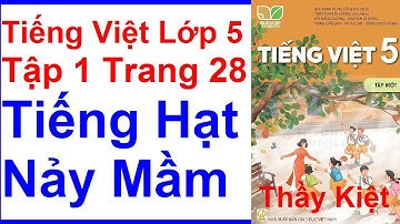 Tiếng Việt Lớp 5 Tập 1 Trang 28 – Bài 5 – Tiếng Hạt Nảy Mầm – Kết Nối Tri Thức