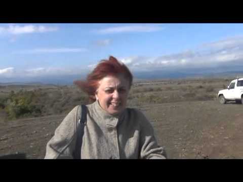 რა ხდება დვანში - \"ხელები შორს საქართველოსგან\"