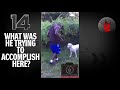 Worldstarhiphop fails compilation 2018