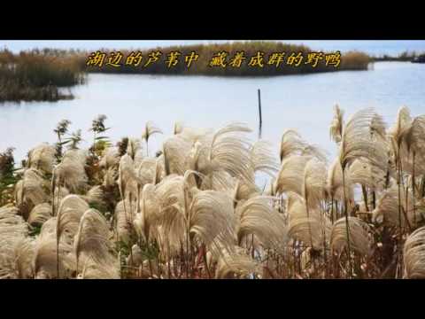 我们的田野(合唱)
