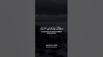 القران الكريم | راحة نفسية | تلاوة هادئة |ارح سمعك 🎧 الشيخ ماهر المعيقلي #ماهر_المعيقلى