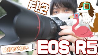 【RF50mmF1.2】EOS R5の瞳AFがヤバすぎる！色んな動物で試してみたらとんでもなく高性能だった！！！