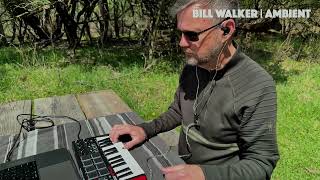 Bill Walker | Ambient | Thatcher Woods