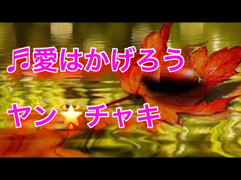 🎶「愛はかげろう」雅夢 1980年   byヤン🌟チャキ