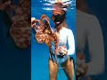 Divers Make Friends with Wild Octopus #shorts