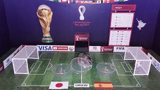 Japan vs Spain ⚽️ Football prediction by animal Jasper 🐹 FIFA World Cup 2022 by Have you seen my hamsters? 849 views 1 year ago 16 seconds