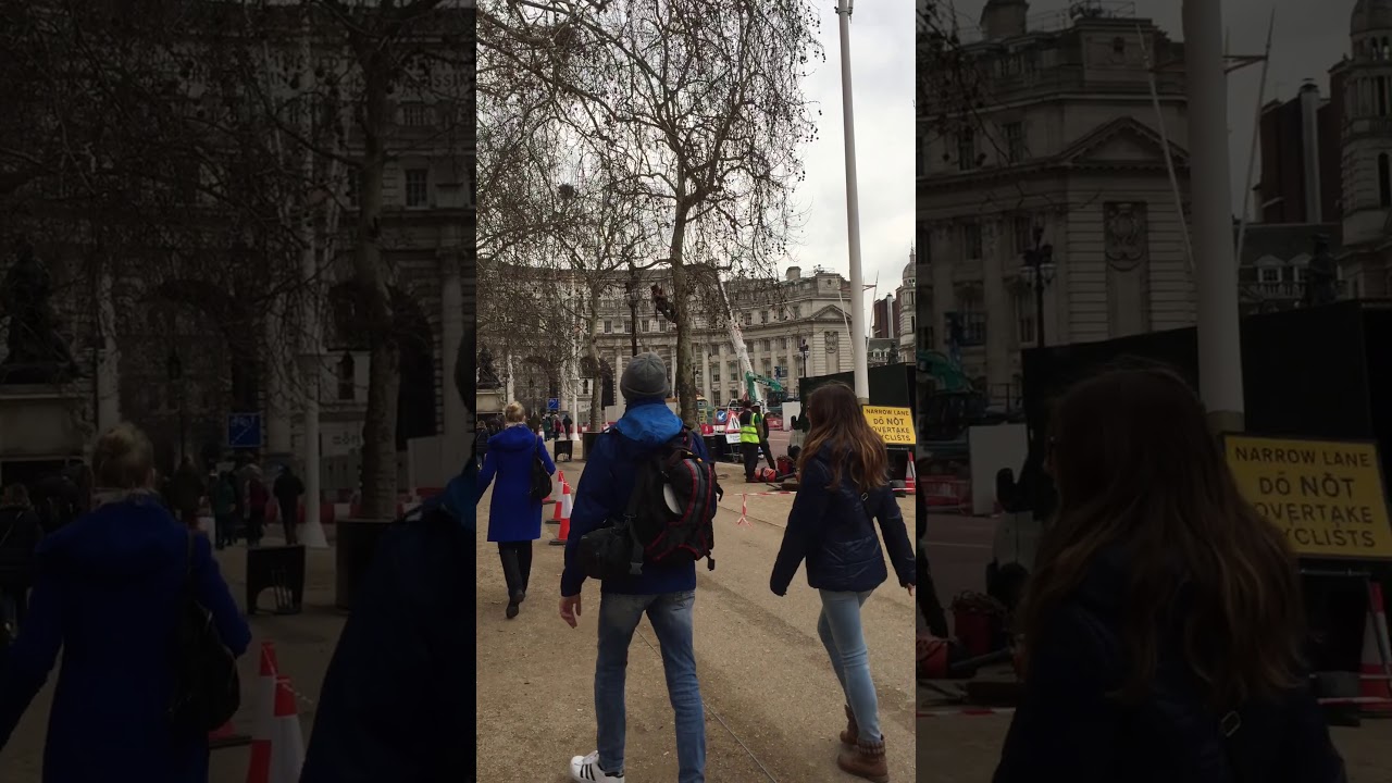英國 🇬🇧 白金漢宮附近維修路燈的工人👷