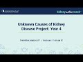 Unknown causes of kidney disease project year 4  american kidney fund