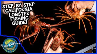 How to CATCH YOUR LIMIT of CALIFORNIA SPINY LOBSTERS! (Hoop Netting Catalina Island)