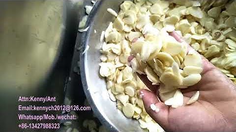 sh-250 Large garlic/ginger slicing cutting machine, garlic ginger slicer cutter