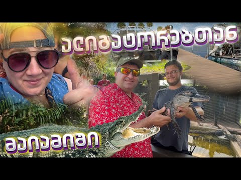 მაიამიში მოგზაურობა/ალიგატორების ტური ფლორიდაში/აშშ/როგორია ცხოვრება ამერიკაში/Miami/Usa