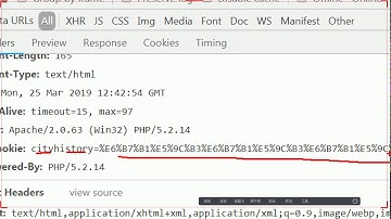 [爱前端面试公开课] 03 Cookie做本地存储