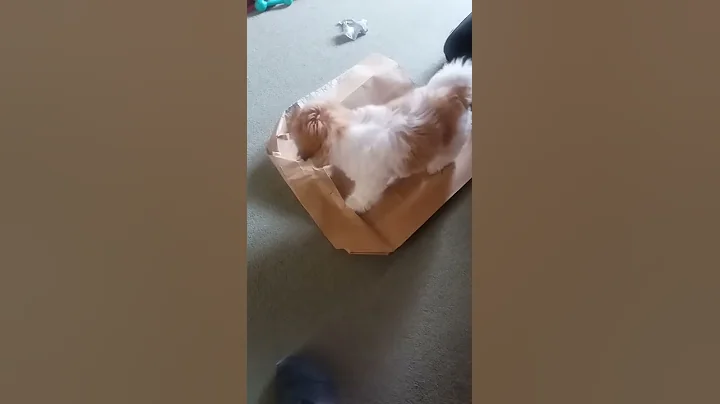 Belle and bag