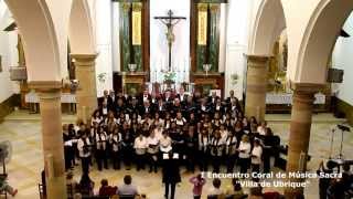 Miniatura de vídeo de "Cerca de ti Señor - L. Masson - Orfeón del I Encuentro Coral de Música Sacra Villa de Ubrique"