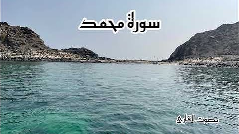 سورة محمد بصوت القارئ محمد بن عبدالعزيز الشامي