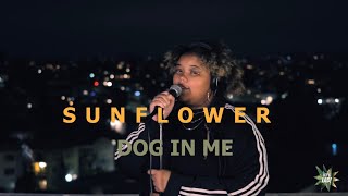 Sunflower - Dog In Me | Let’s Lab!