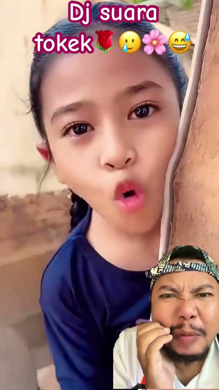 DJ SUARA TOKEK LUCU!!!??
