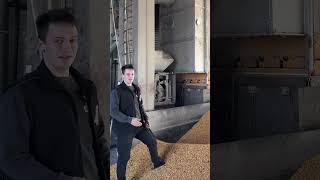 🌽✨Wie wir unseren Mais ernten? Kornhof Buyer hat die Antwort! ✨#laendeier #regional #baw