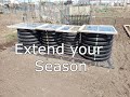 SHEDWARS21: No Building Cold Frames here!