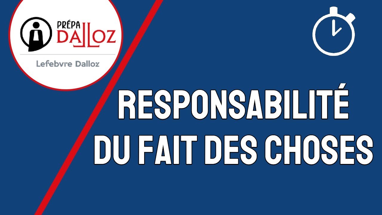 Responsabilité du Fait des Choses : Responsabilité Civile